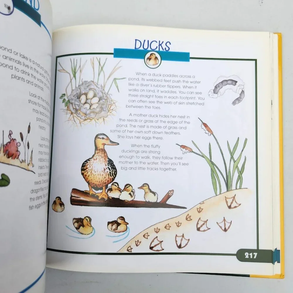 More Fun With Nature Take Along Guides Field Guide Hardcover Book Activity Journ